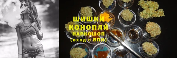 гашик Волосово