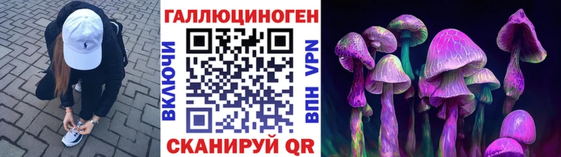 блэк спрут маркетплейс  Галич  Галлюциногенные грибы Psilocybe 